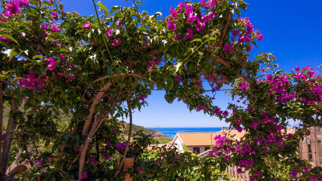 Welcomely - La Nassa - Dimora Vista Mare Tresnuraghes Εξωτερικό φωτογραφία